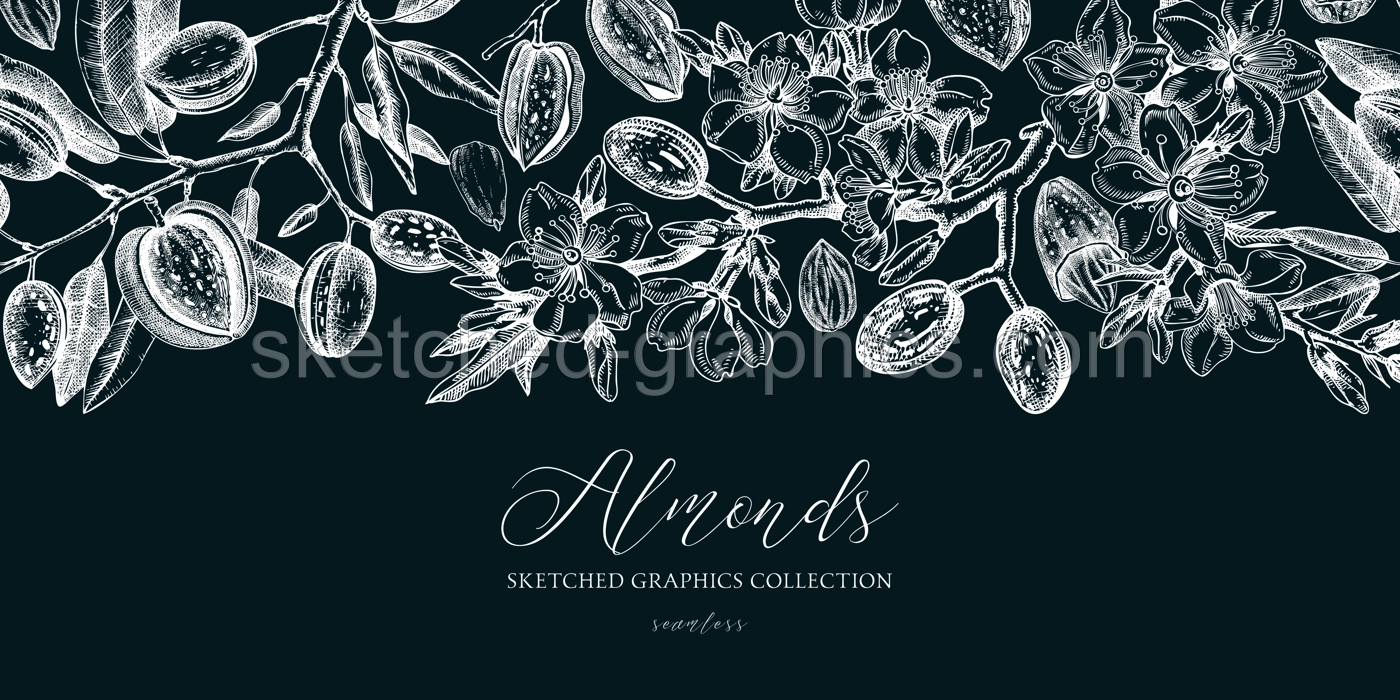 Almond background. Blooming branches, almond nuts, flowers, leaves sketches. Hand drawn vector illustration. Vintage seamless pattern. Spring trees border on chalkboard Illustration